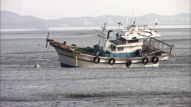 Old fishing boat in sea — Stock Video