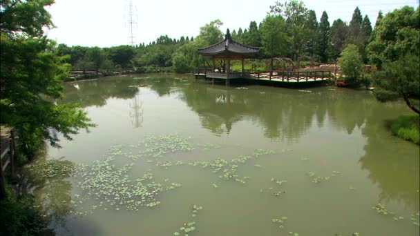 Ancient building on shore of pond — Stock Video