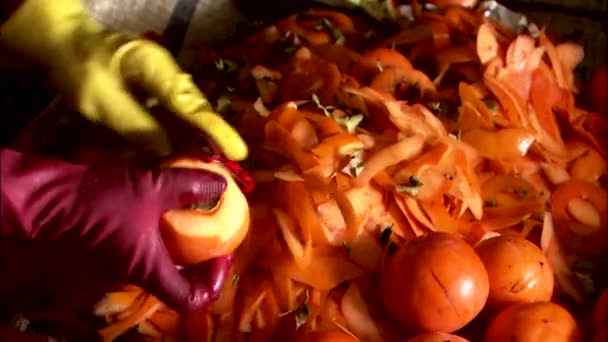 Hände Handschuhen Die Persimmons Schälen Nahaufnahme — Stockvideo