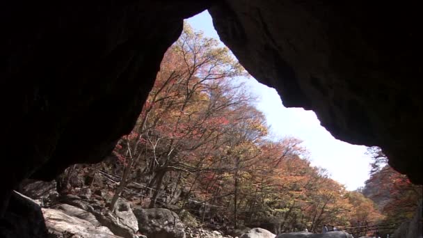 Vista Dalla Grotta Gurye Provincia Jeollanam Corea — Video Stock