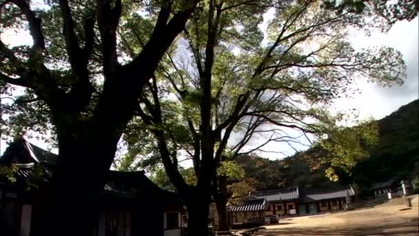 Templo Tradicional Gangjin Gun Provincia Jeollanam Corea — Vídeo de stock