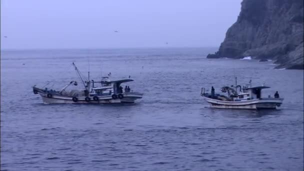 Fiskebåtar som flytande i havet — Stockvideo