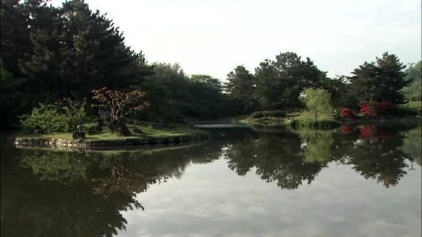 Красивый пруд в окружении зеленых деревьев — стоковое видео