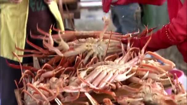 Mulher colocando caranguejos em pilha — Vídeo de Stock