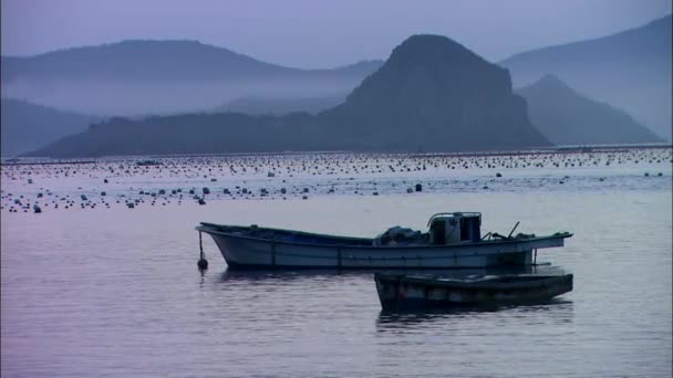 Лодки на море в Корее — стоковое видео