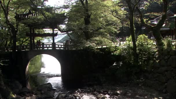 人が歩くと 背景に木がある韓国の伝統的な寺の橋の上に立って — ストック動画