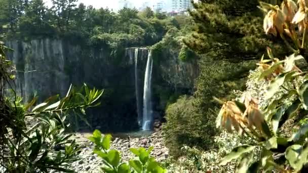 Frühling großer Wasserfall in jeju-island — Stockvideo