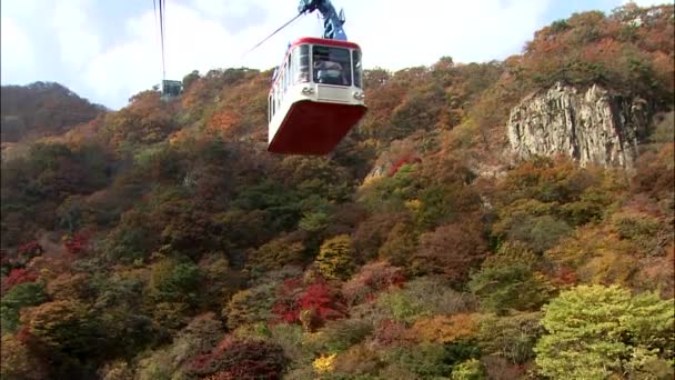 Chrám Jeongeup Jeonbuk Korea Lanovka Koni Přes Podzimní Les — Stock video