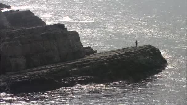 Personnes au bord de la falaise près de la mer — Video