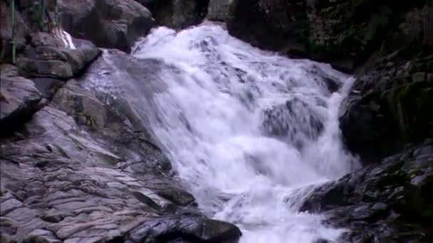 Rapid waterfall on huge rock — Stock Video