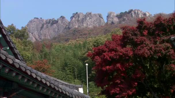 Partie Toit Temple Vue Panoramique Sur Les Montagnes Automne Jindo — Video