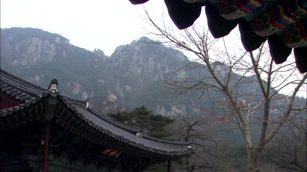 Landschap Van Curacao Tempel Hapchun Gun Gyeongsangnam Zuid Korea — Stockvideo