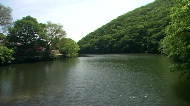 Brücke über breiten Fluss — Stockvideo