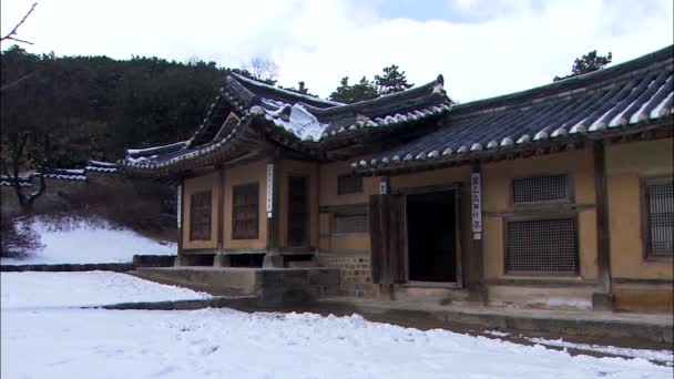 Blick Auf Den Traditionellen Tempelbau Südkorea Mit Bäumen Und Bergen — Stockvideo