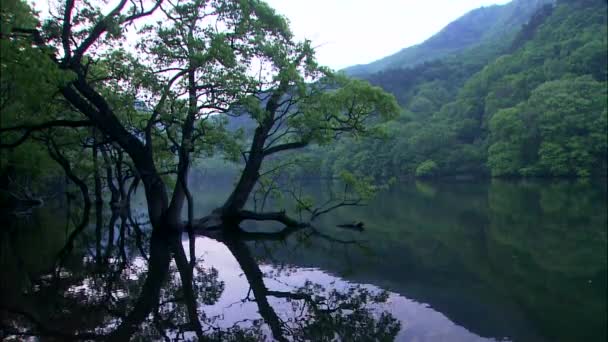 Hills reflecting on mirror surface of lake — Stock Video