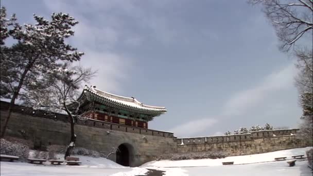 韩国传统建筑风格的寺庙门前景与雪灌木 — 图库视频影像