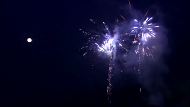 Festival de fuegos artificiales de Seúl — Vídeo de stock