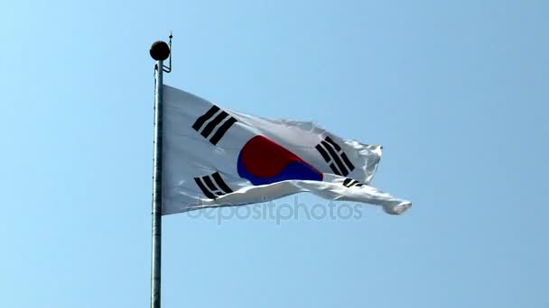 Σημαία της Νότιας Κορέας κουνώντας στον αέρα — Αρχείο Βίντεο