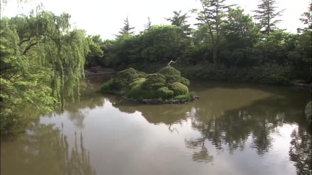 Hermoso estanque rodeado de árboles verdes — Vídeos de Stock