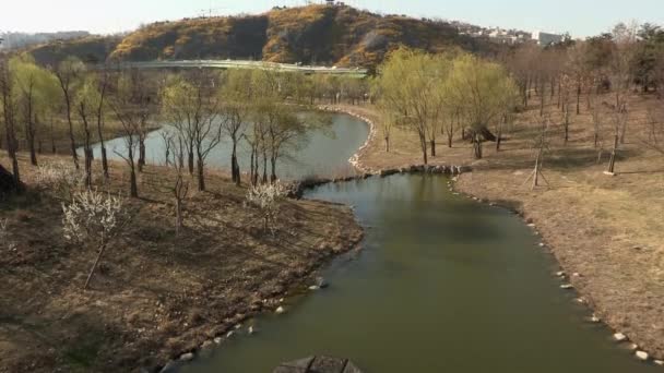 Tráfego fluvial e automóvel — Vídeo de Stock