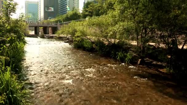 Paisaje de edificios y arroyo en Seúl — Vídeo de stock