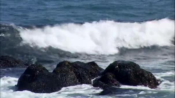 Olas de mar lavar piedras — Vídeos de Stock