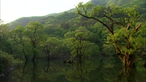 collines réfléchissant sur la surface miroir du lac  