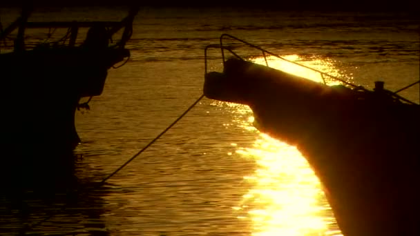 Afgemeerd boten op het water met reflectie van de zon — Stockvideo