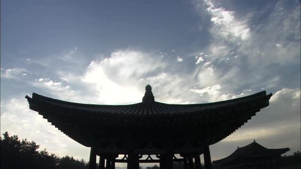 传统古建筑的雁鸭池 — 图库视频影像