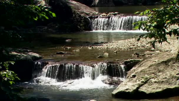 Deux petites cascades sur la rivière forestière — Video