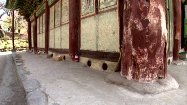 Pared Pintada Techo Del Edificio Tradicional Del Templo Coreano — Vídeo de stock