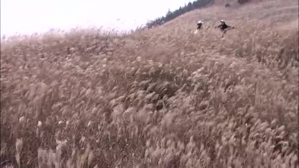 Personnes Marchant Sur Montagne Mudeungsan Soleil Corée — Video