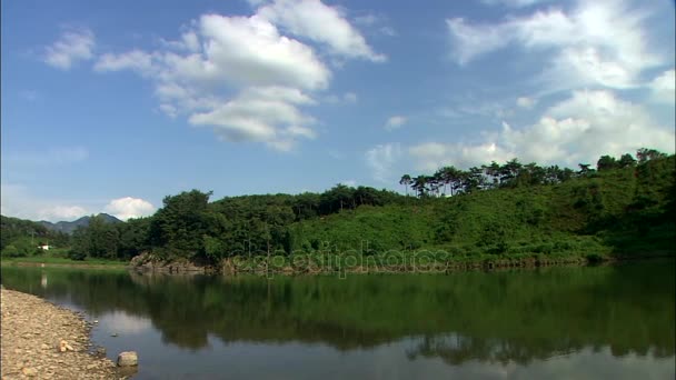 森林与多云的天空静静的河面 — 图库视频影像