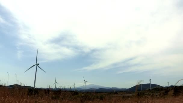 Windgeneratoren in der Landschaft der Insel Jeju — Stockvideo