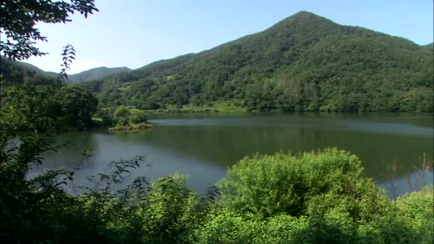 Floresta Primavera Brilhante Com Montanhas Lago Jinan Gun Jeonbuk Coréia — Vídeo de Stock