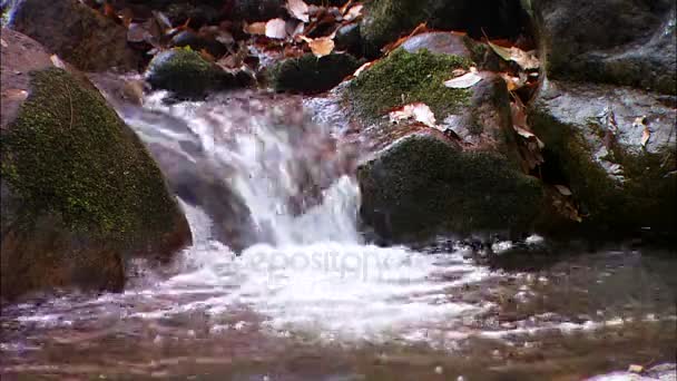 Água que flui através de pedras — Vídeo de Stock