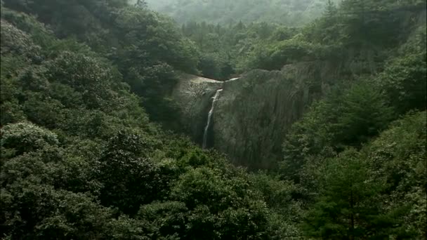 Heldere Lente Bos Met Bergen Waterval Jinan Gun Jeonbuk Zuid — Stockvideo