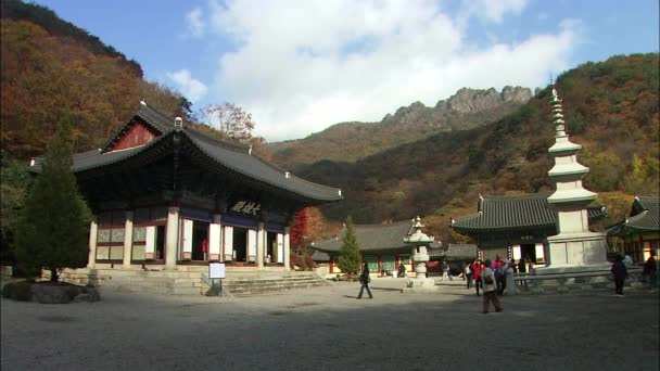 Templo Jeongeup Jeonbuk Corea Vista Pagodas Torre Sobre Fondo Madera — Vídeos de Stock