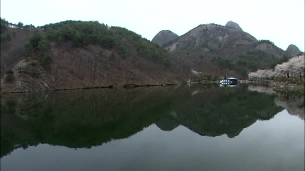 Jezero obklopené kopci se stromy — Stock video