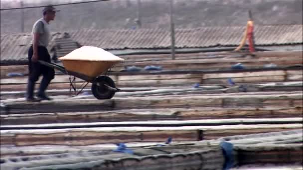 Trabalhador Vagão Rolante Cheio Sal Campo Com Telhados Fundo — Vídeo de Stock