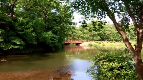 Paesaggio di stagno in arboreto in Corea — Video Stock