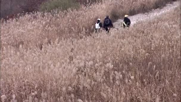 Persone Che Camminano Sulla Montagna Mudeungsan Nella Giornata Sole Corea — Video Stock