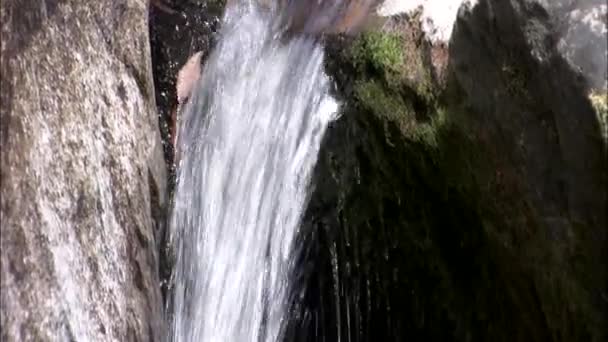 Cascada cayendo sobre piedra — Vídeos de Stock