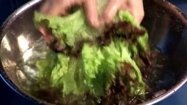 Женщина стирает салат в миске — стоковое видео