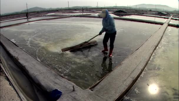 Dos Hombres Recogiendo Sal Del Agua Por Herramientas Especiales Con — Vídeo de stock