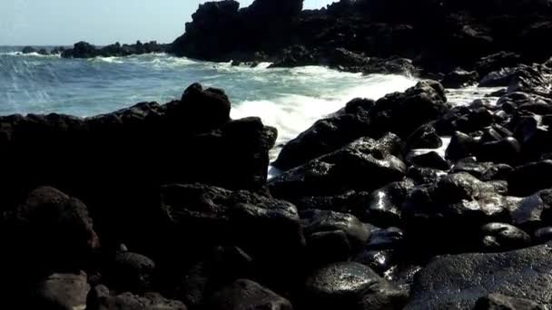 Yongduam Rock Jeju-ön — Stockvideo