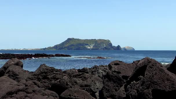 Jeju Adası'nın tek sıra halinde ortak — Stok video