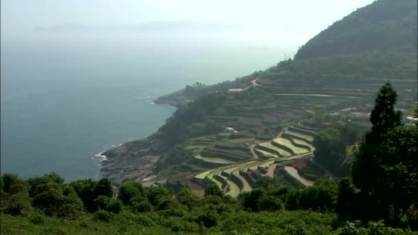 Veduta Aerea Isola Campi Verdi Mare Costa Corea Del Sud — Video Stock