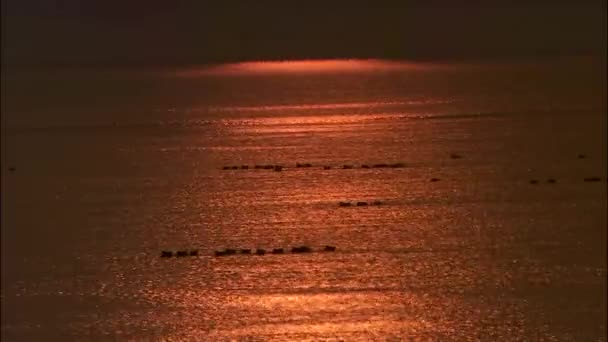 Atardecer naranja reflejándose en la superficie del mar — Vídeos de Stock