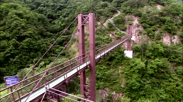 背景に韓国の山と木の橋の眺め — ストック動画